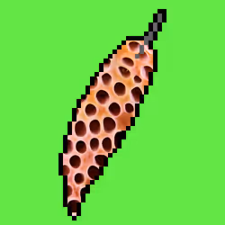 43657839650808906822411680637412831216221944259197485224272411451802676887553