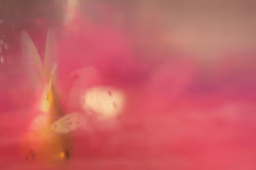 Item #101713277105975589639880448454091243544280285560533982294413790933176895406090 Media