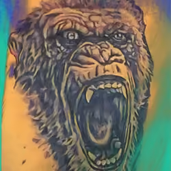 gorilla 001