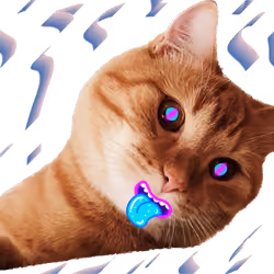 000024#