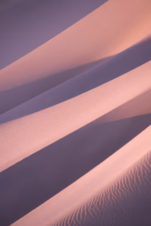 Item #39071023685345521589531013450918722216572370939070752972983331652022388654081 Media