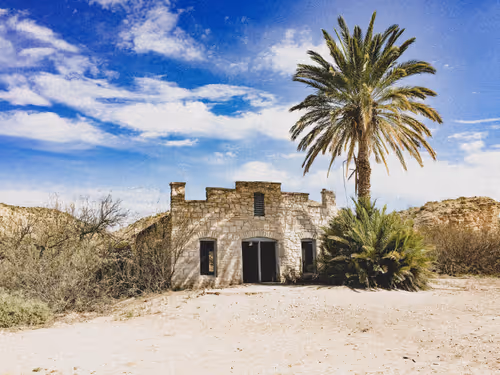 Item #42956466618878321387532578261577756492161920653755194423256676462624541507585 Media