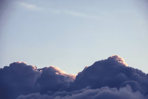 jungleblock Collection - old