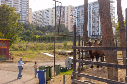 Item #8293050977498067439738640211663030445621008093446820664285481089973016854529 Media