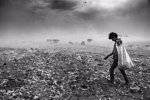 Item #14903448534982185836333129059607412223311433954982104222491105919112113553409 Media