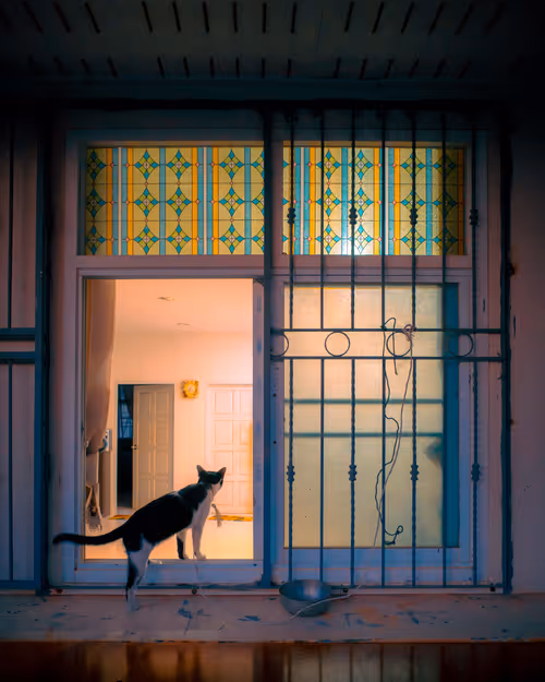 Item #105025572156970423279806083631740089086586526732791604564462751961524440399873 Media