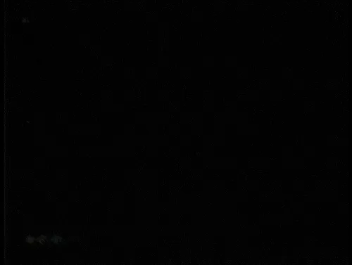 Item #5411816637372773066188329659916657088529367242082514567382043208840185380865 Media