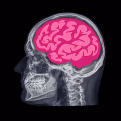 24230885534779484670501703553684953274983737514794072512407783984055606837258