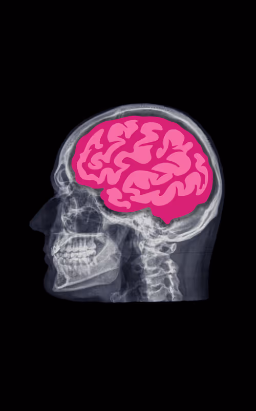 Item #24230885534779484670501703553684953274983737514794072512407783984055606837258 Media