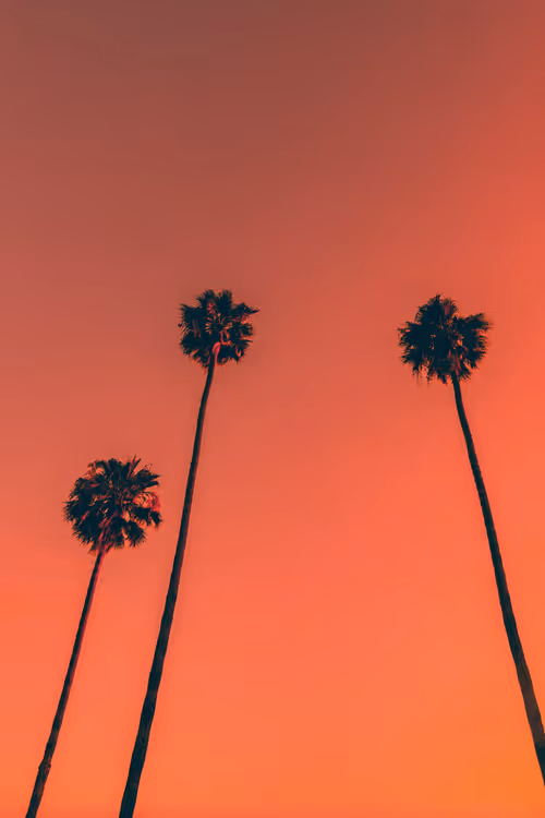 Somewhere Else: 077 - 3 Kings 