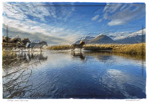 Item #6968899724388266606176016145545160509277227480062482001621938696360269185124 Media