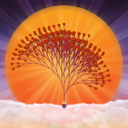 Pancan Seedsofhope
