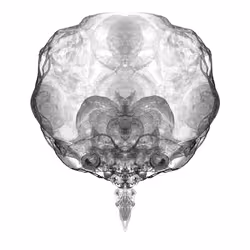 85859191866638808365331437874953228966785819470149775310971061633139645349889