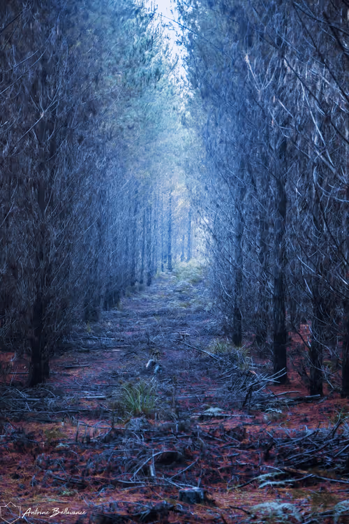 Item #4468298363639779410532789010720251327822800533817543307032898258123010080769 Media