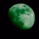 The Moon Collective