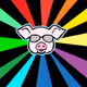 Vegan Warrior #9 –Rocco the pig