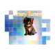 37587377907560932496596804362894836953533550962390522924308928203072640909313