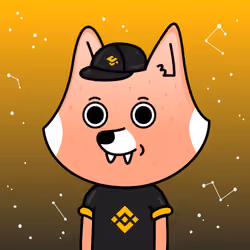 FoxCoins #Binance