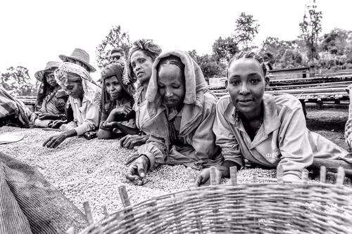 Item #50027882237522295676960542276708360859068113986169674979910834097720236441601 Media