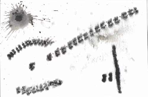 Item #80557703576545227788361676478540904928685647326282032990691721449713061330945 Media