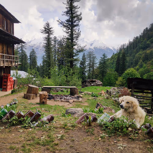 Adityanfts Collection