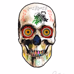 Mexican skull