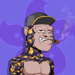 NYC Madison Ave Bape Camo Rumble Kong