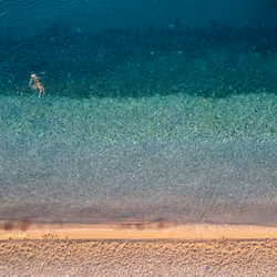 swim