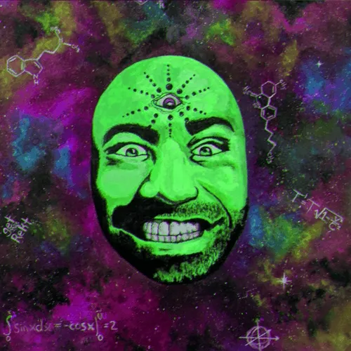 The Joe Rogan Experience: DMT Edition V24