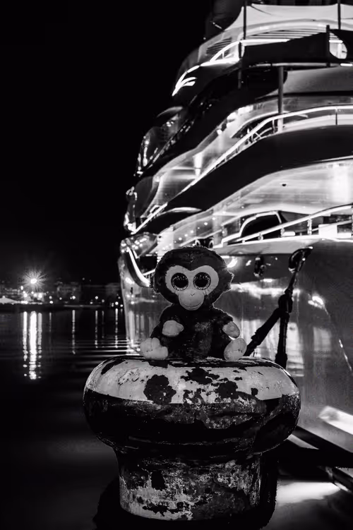 Item #78523124948883737191824425685370443041181342440538518293301156647073923203073 Media