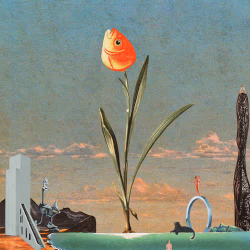 Bruno Bamma x Skyscapes