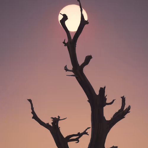 "Away  I  Flew - Visual Poetry of Being Human". Photography by Jerad Armijo - 61 1/1 NFTs