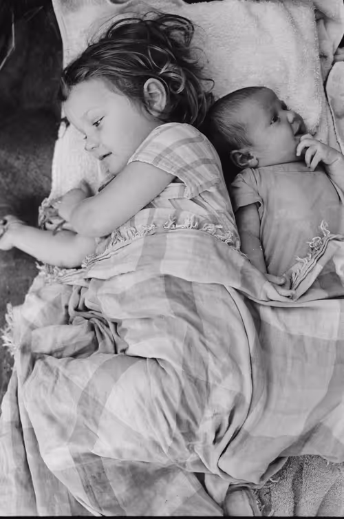 Item #69040073891214831280886932424473030374567714809406336965471043862281936961537 Media