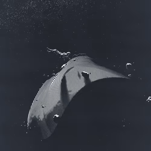 Item #47054235586603430416428902981281289303545291861625266648489421795298298036225 Media