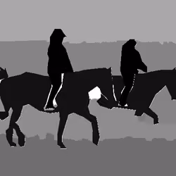 My Horse
