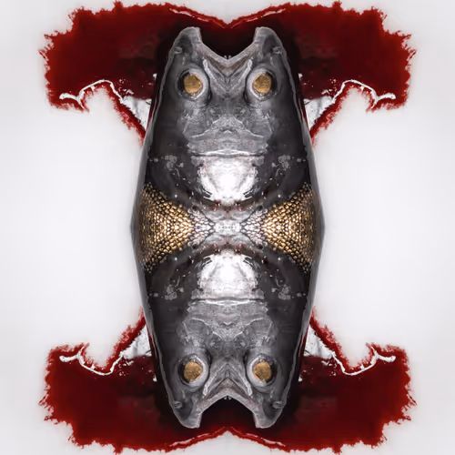 73372860986899267984203259478181178423883212143410366847917696861348607033345