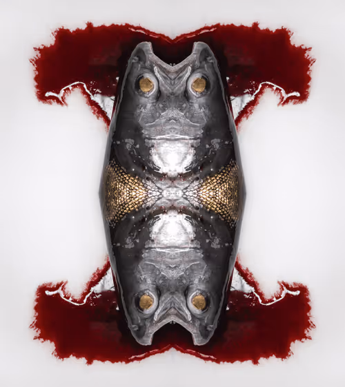 Item #73372860986899267984203259478181178423883212143410366847917696861348607033345 Media