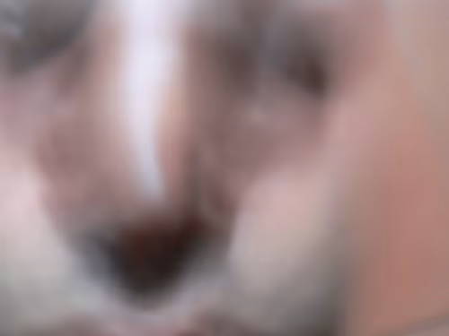 Item #53293308890184797563245186567038910587897763149201304652829954790133556314113 Media