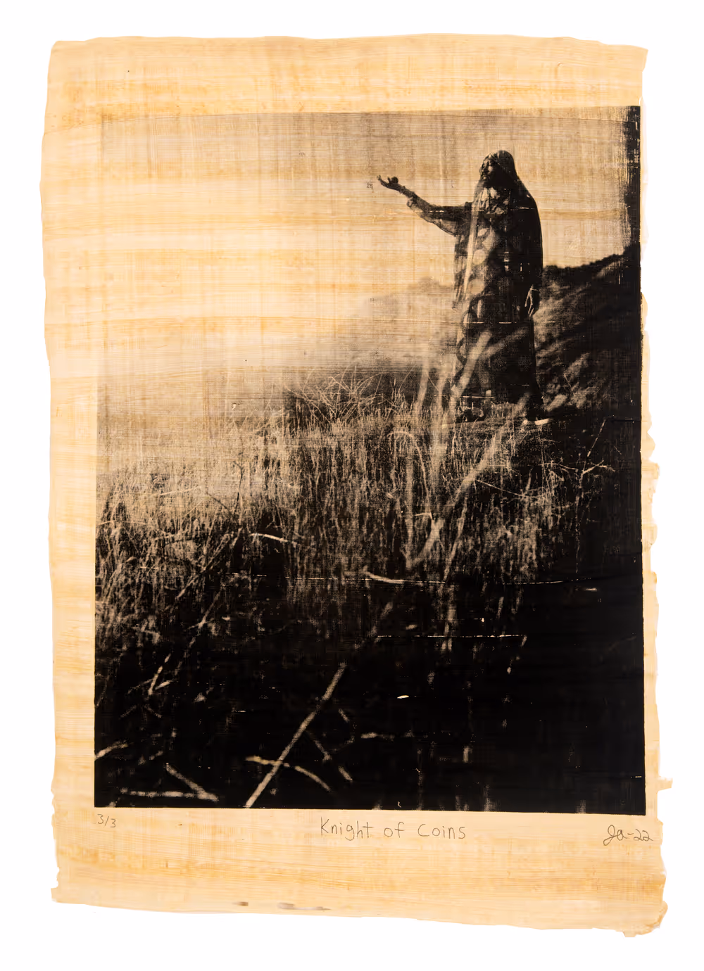 Justin Aversano - Knight of Coins - Physical Tarot Scroll - 3/3