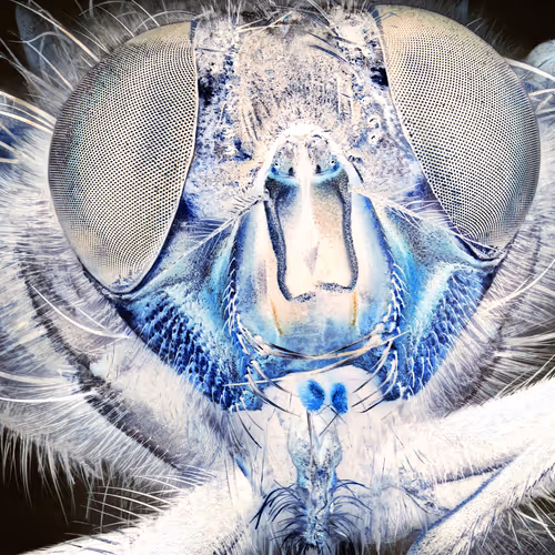 34706450278162979318667539787965118364630649928530058686286775301106443485185