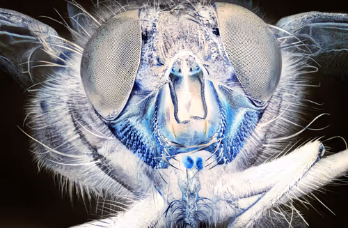 Item #34706450278162979318667539787965118364630649928530058686286775301106443485185 Media