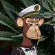 Stoned Ape Yacht Club