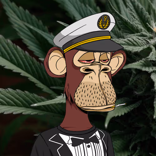 Stoned Ape Yacht Club