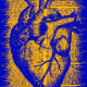 Cardio Audio
