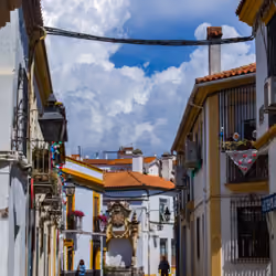 Cielo engalanado.