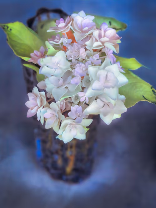 Item #113391420929209941219598099572508675076097289829558384042967582000975557165057 Media