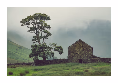 Item #96661707284894299444635219906598425654694917167299737376541026869276978446346 Media