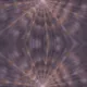41464863247061180391608672890714319716369883891835570073387136605942521528321