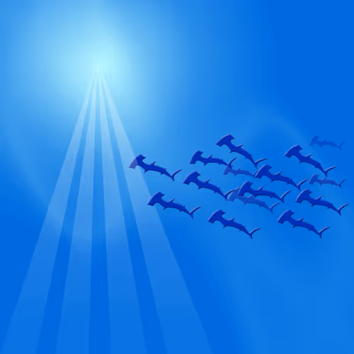 Item #72612071101824359411094763534282884921717231066785007476732026151223137665025 Media