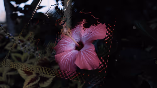 Item #48973900922828384220280261155421732843482069862866083285063938523709856284673 Media